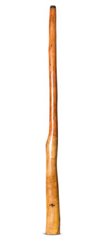 Tristan O'Meara Didgeridoo (TM422)